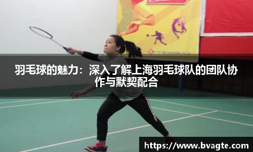 羽毛球的魅力：深入了解上海羽毛球队的团队协作与默契配合